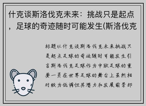 什克谈斯洛伐克未来：挑战只是起点，足球的奇迹随时可能发生(斯洛伐克这个球队怎么样)
